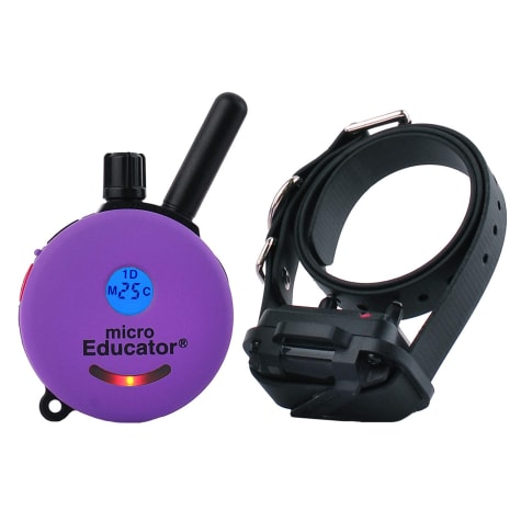 best shock collar for small dogs