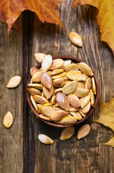 how to cook pumpkin seeds for dogs