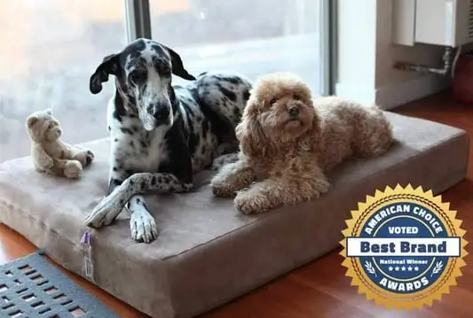 best dog beds for dobermans