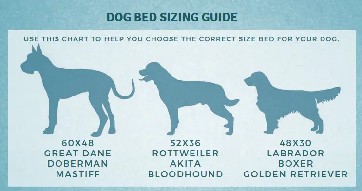 how to choose dog beds for dobermans