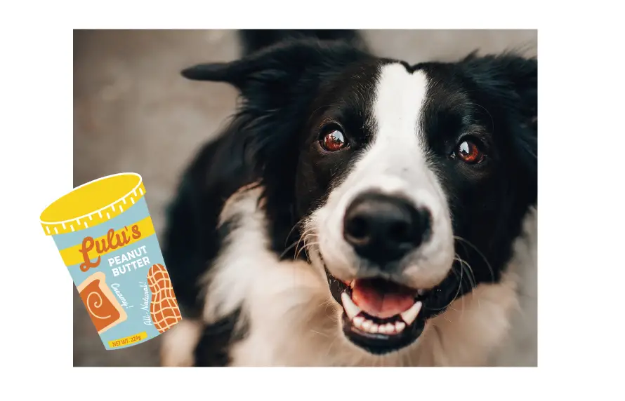 is skippy peanut butter safe for dogs